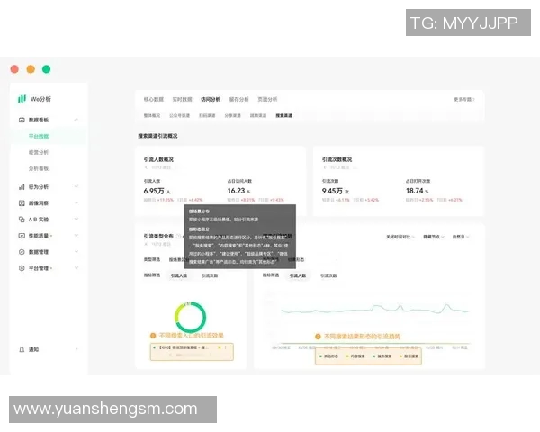 深入分析WE的运营策略与市场表现的成功之道