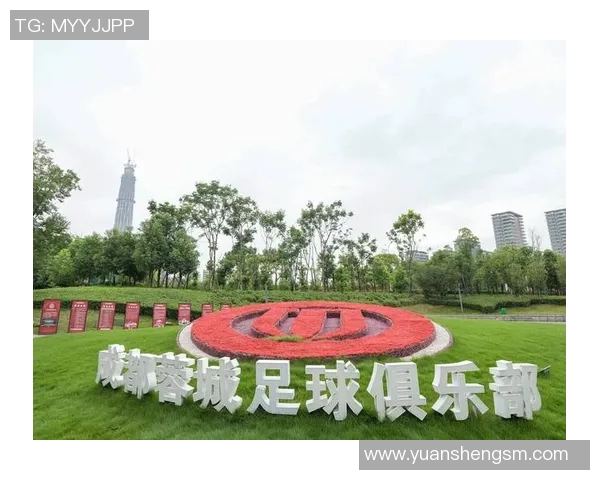 成都足球队与上海足球队赛后分析个人能力对比与表现评估