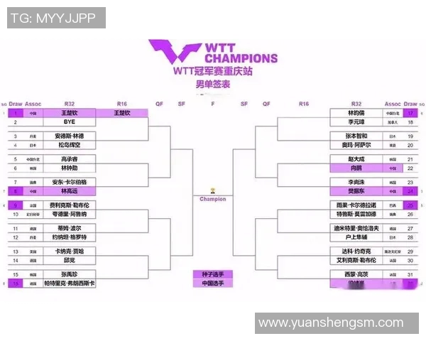 成都乒乓球队实力对比深度解析与未来发展展望