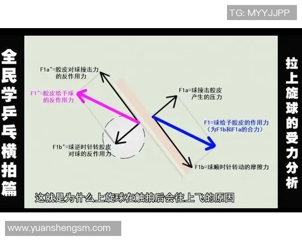 广州乒乓球队防守战术解析与深度剖析乒乓球技术的魅力与挑战