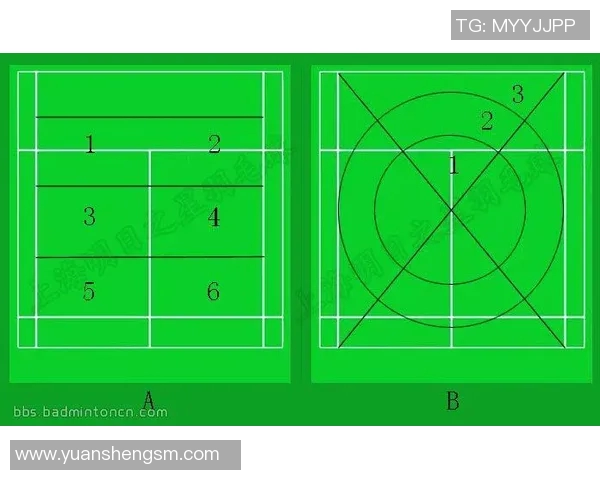 西安羽毛球队进攻体系解析与战术运用研究